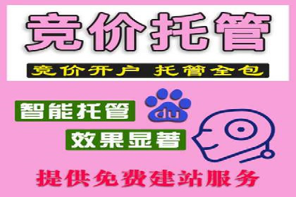 行业趋势下的SEM营销策略及成功案例研究